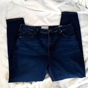 Everlane jeans, The Curvy High Rise Skinny Jean, size 33 regular